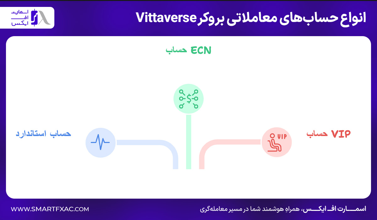 بررسی سه نوع حساب معاملاتی بروکر Vittaverse