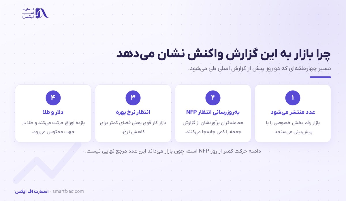 گزارش اشتغال ADP چیست و چه تفاوتی با NFP دارد؟ 4 زنجیره اثر گزارش اشتغال ADP بر دلار و طلا