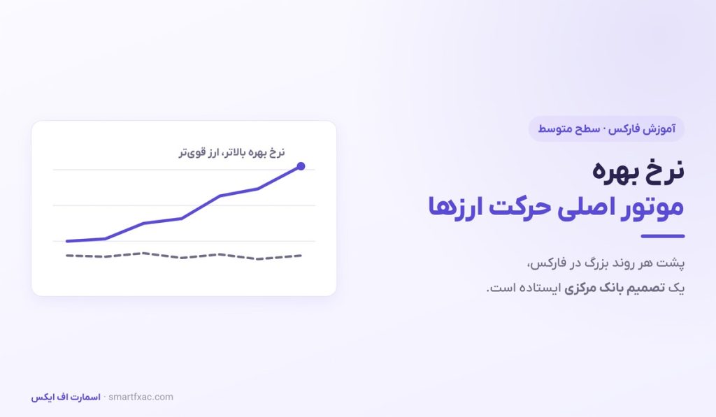 نرخ بهره در فارکس | چرا تصمیم بانک مرکزی ارز را حرکت می‌دهد؟ - تصویر شاخص