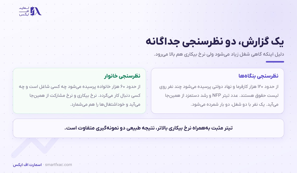 تفاوت نظرسنجی بنگاه‌ها و نظرسنجی خانوار در گزارش NFP
