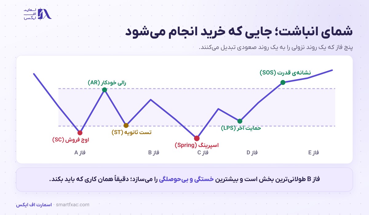 متد وایکوف چیست؟ | آموزش پیشرفته انباشت، توزیع و اسپرینگ 3 شمای کامل انباشت وایکوف با فازهای A تا E و نقاط کلیدی