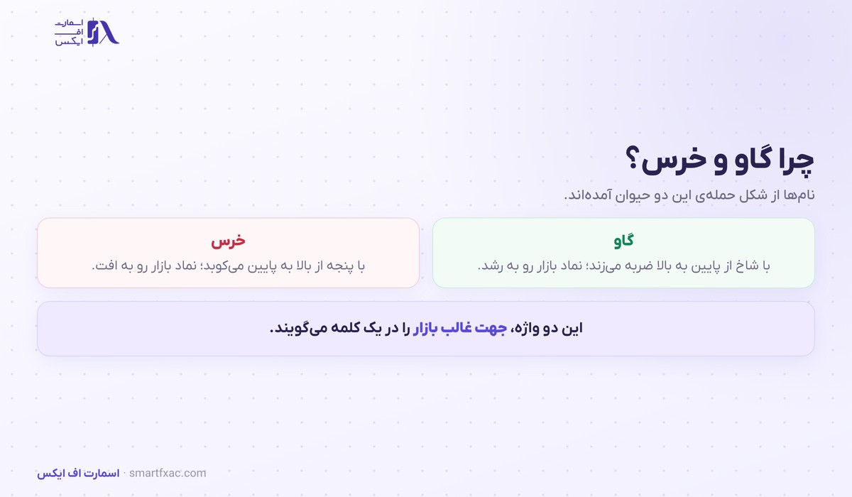 بازار گاوی چیست؟ | ۳ نشانه تشخیص و ۳ فاز آن 2 ریشه نام بازار گاوی و خرسی از شکل حمله دو حیوان