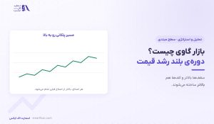 بازار گاوی چیست؟ | ۳ نشانه تشخیص و ۳ فاز آن