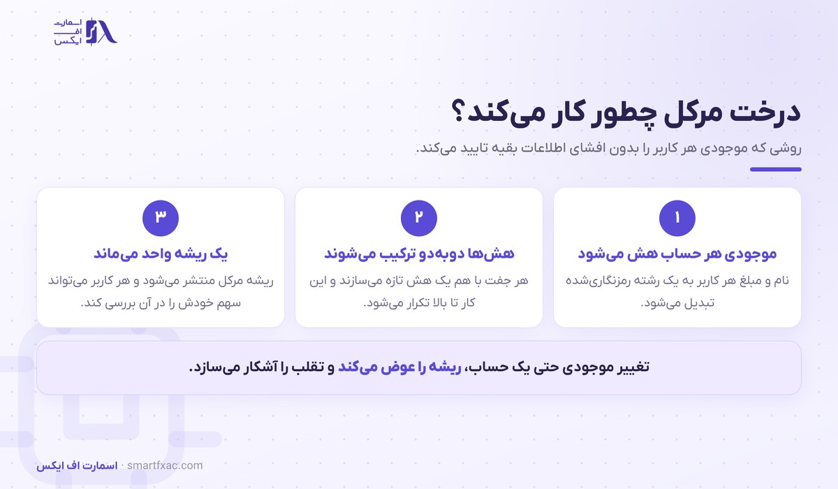 سه مرحله ساخت درخت مرکل از هش موجودی هر کاربر تا ریشه نهایی