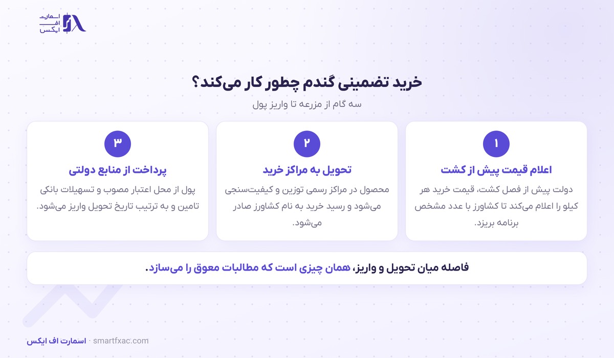 ۷۳٫۴ همت دیگر به گندمکاران پرداخت شد؛ قیمت تضمینی گندم چطور تعیین میشود 5 سازوکار قیمت تضمینی گندم در ایران