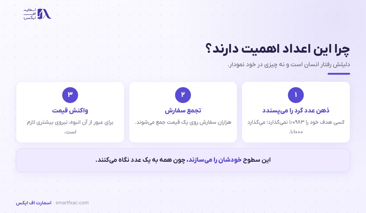 سه گام شکل گرفتن سطوح روانی قیمت از عادت ذهنی تا واکنش بازار