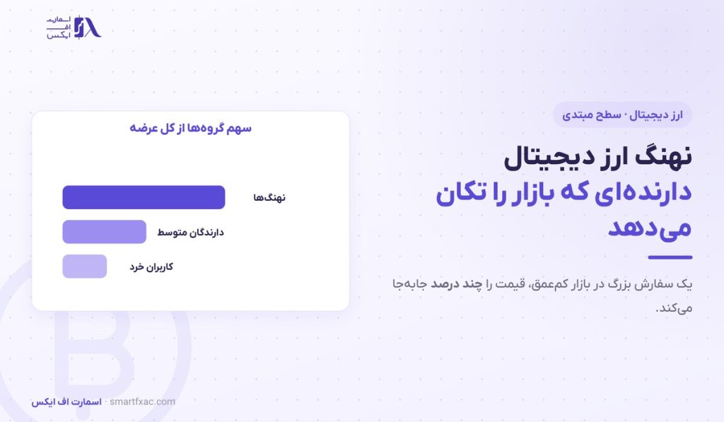 نهنگ ارز دیجیتال | ۴ گروه و روش دنبال کردن حرکتشان 1 نهنگ ارز دیجیتال | ۴ گروه و روش دنبال کردن حرکتشان