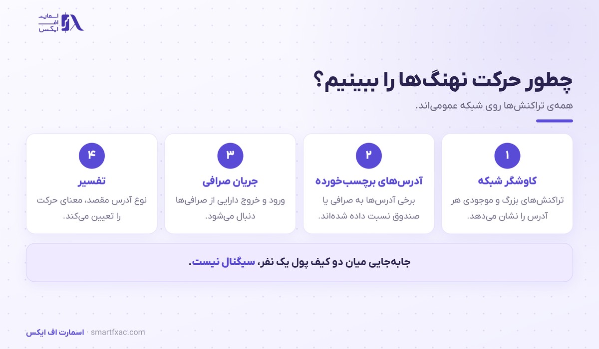 چهار قدم دنبال کردن حرکت نهنگ ارز دیجیتال روی شبکه