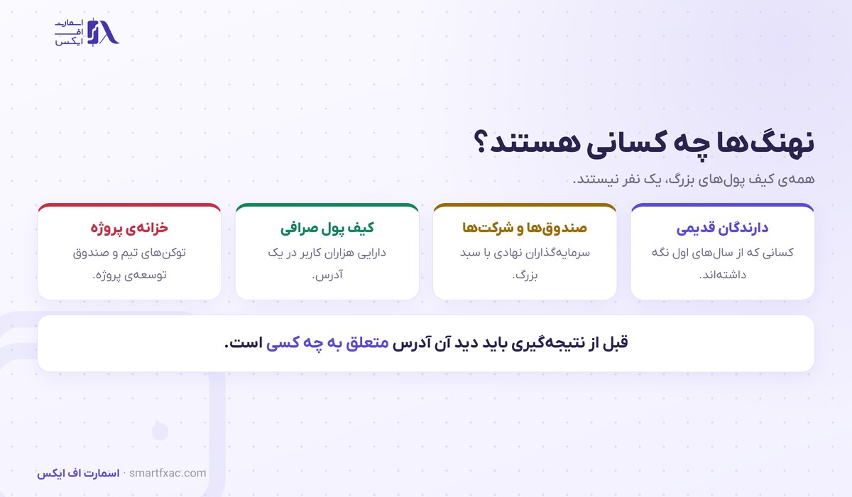 نهنگ ارز دیجیتال | ۴ گروه و روش دنبال کردن حرکتشان 2 چهار گروه نهنگ ارز دیجیتال و تفاوتشان
